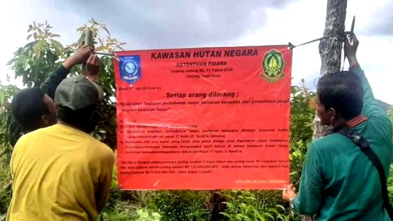 Forest Police of KPHL Belantu Mendanau Disciplined Palm Oil Plantations in Production Forest Region