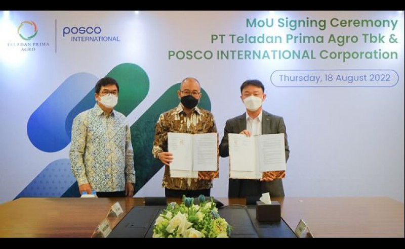 To Develop Downstream Sectors, TLDN Took POSCO