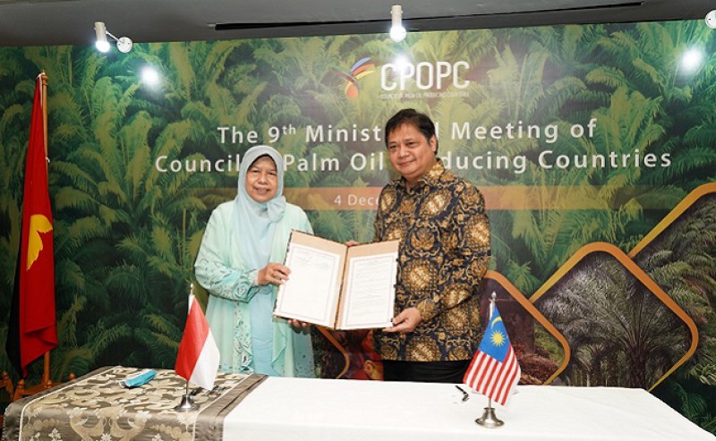 Before Joining CPOPC, Palm Oil Producer Countries Should Ratify Protocol to Amend
