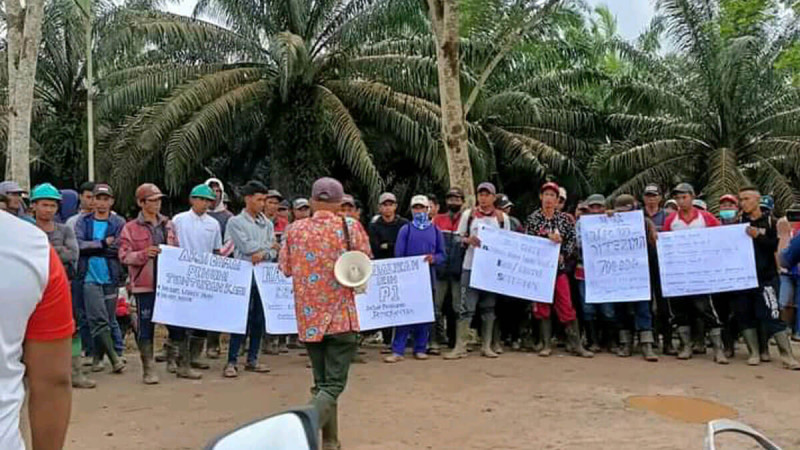 Palm Oil Labors: Eliminate Remuneration Cut at PT MAR