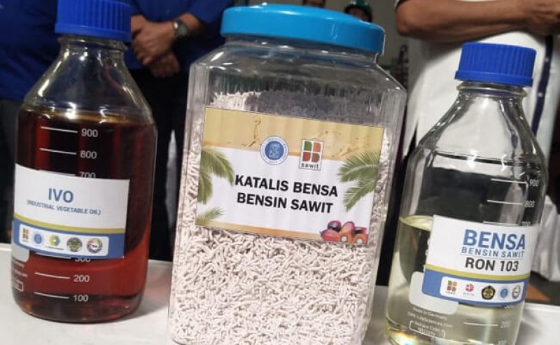 Palm Oil Gasoline Was Officially Launched: To Welfare Smallholders in Muba