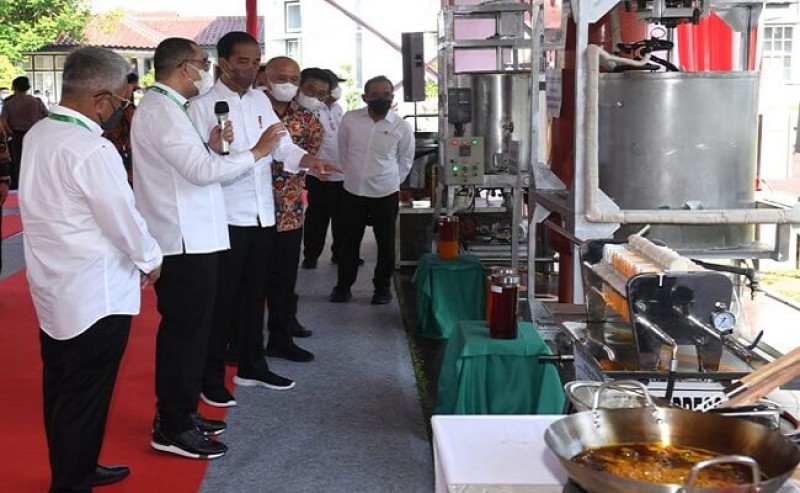 Jokowi: Cooperation Could be Red Palm Cooking Oil Producer