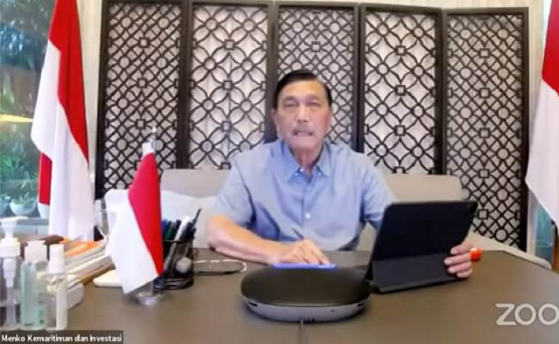 Luhut: Regional Governments Should Support Palm Oil Audit