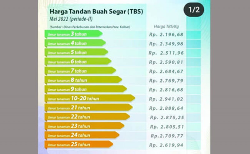 FFB in West Kalimantan Gets Cheaper Again: The 10 - 20 Year old FFB is Rp 2.941,02/Kg.