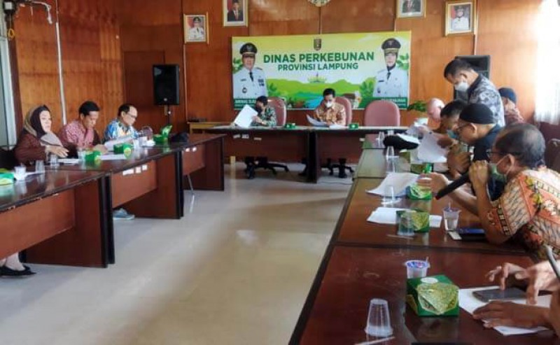 Lampung Would Publish Governor’s Regulation about Independent Smallholders’ Partnership