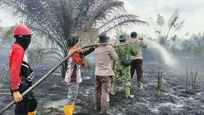 15 Hectares Palm Oil Plantations in Bengkalis Were in Flame