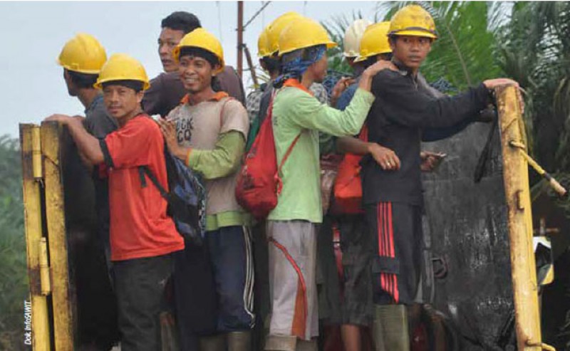 Palm Oil Labor Coalition: Guarantee Labors’ Rights
