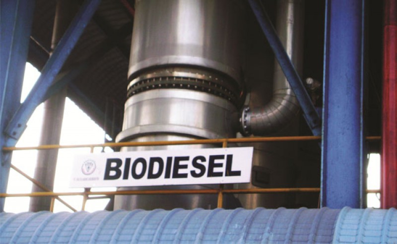 Biodiesel Strengthens Energy Sovereignty Nationally
