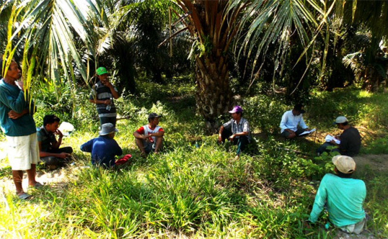 Rembug Petani Sawit: Export Ban Should be the Moment to Improve Palm Oil Governance