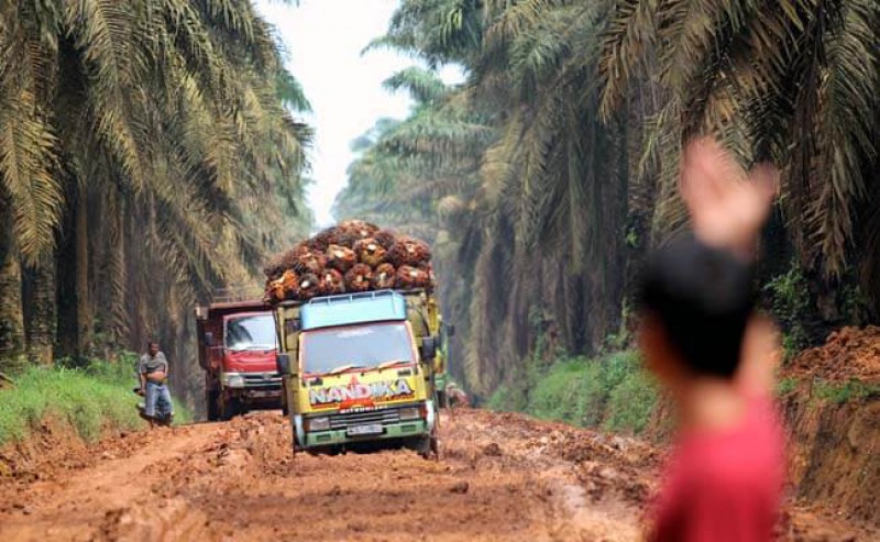 Improving the Ways: Smallholders’ Proposals The Most in Infrastructure Program