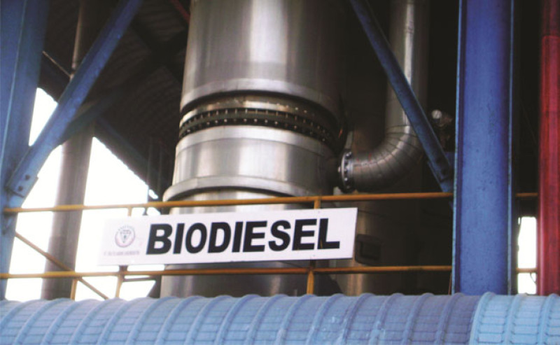 Biodiesel Subsidy Delivered Profits for Corporates: Put Away Smallholders