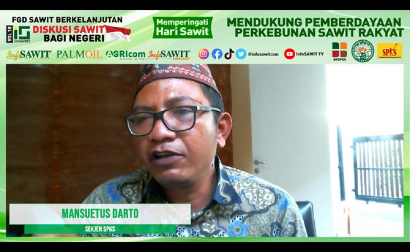 The Smallholders Denied to Damage Forest to Develop Palm Oil Plantations