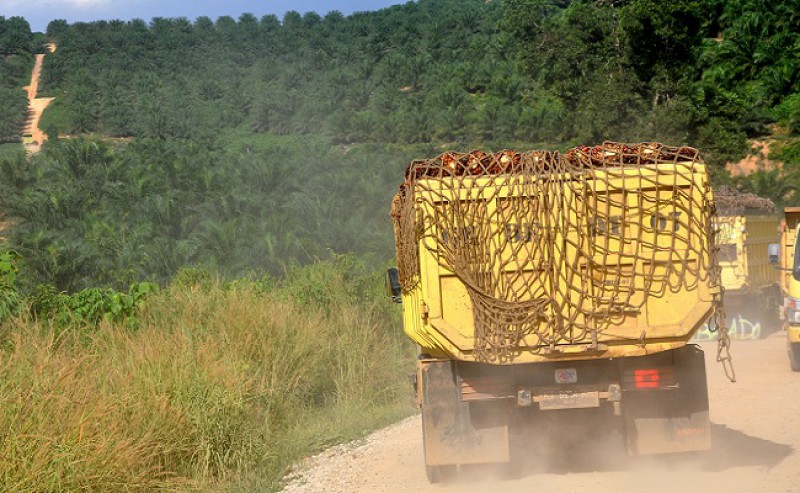 Vehicles that Transport Palm Oil Harvest Should Use Non-Subsidy Fuel